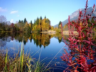 Moorweiher