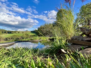 Detail Teich Ausblick