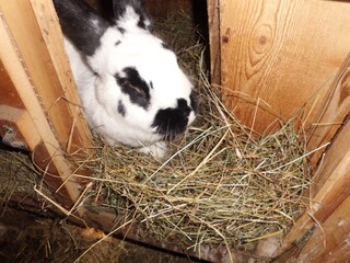 Appartamento per vacanze Ultental Ambiente 22