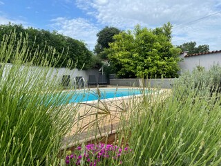Villa Labinci Buitenaudio-opname 6