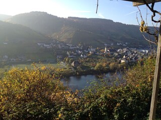 Reil in der Abendsonne