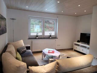 Appartamento Waldbreitbach Caratteristiche 23