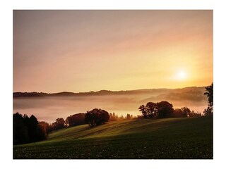 Appartamento Waldbreitbach Registrazione all'aperto 14