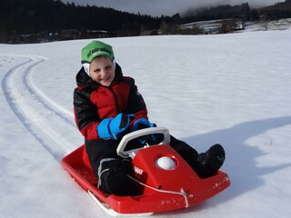 Appartamento per vacanze Bad Aussee Registrazione all'aperto 14