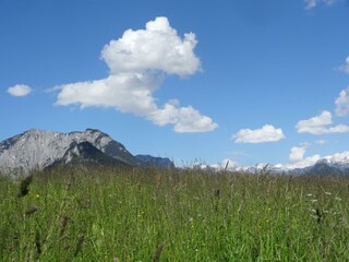 Appartamento per vacanze Bad Aussee Registrazione all'aperto 52