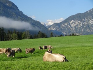 Appartamento per vacanze Bad Aussee Registrazione all'aperto 35