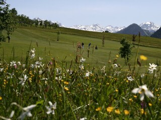 Apartamento de vacaciones Bad Aussee Grabación al aire libre 4