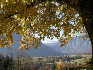 Appartamento per vacanze Bad Aussee Registrazione all'aperto 50