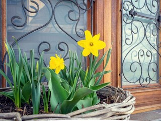 Appartamento per vacanze Bad Aussee Registrazione all'aperto 30