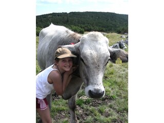 Appartamento per vacanze Bad Aussee Registrazione all'aperto 6