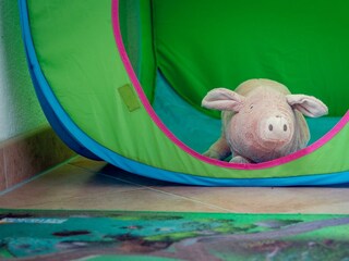 Appartamento per vacanze Bad Aussee Caratteristiche 62