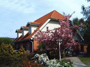 Ferienhaus mit Sauna - Zingst - image1