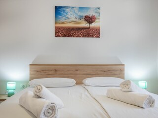 Casa per le vacanze Nedescina Caratteristiche 33