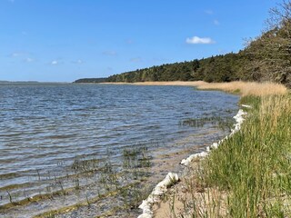 Großer Jasmunder Bodden bei Glowe