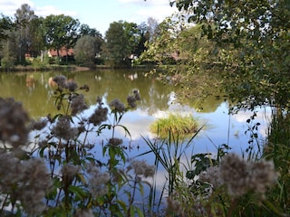 Blick auf den See