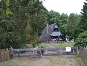 Ferienhaus Heide-Marie - Müden/Örtze - image1