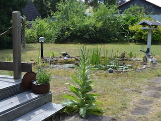 Teich  vor der Terrasse