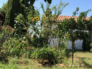 Appartamento per vacanze Medulin Registrazione all'aperto 5