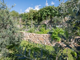 Villa Brenzone sul Garda Registrazione all'aperto 10