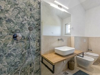 Villa Svetvinčenat Caratteristiche 34