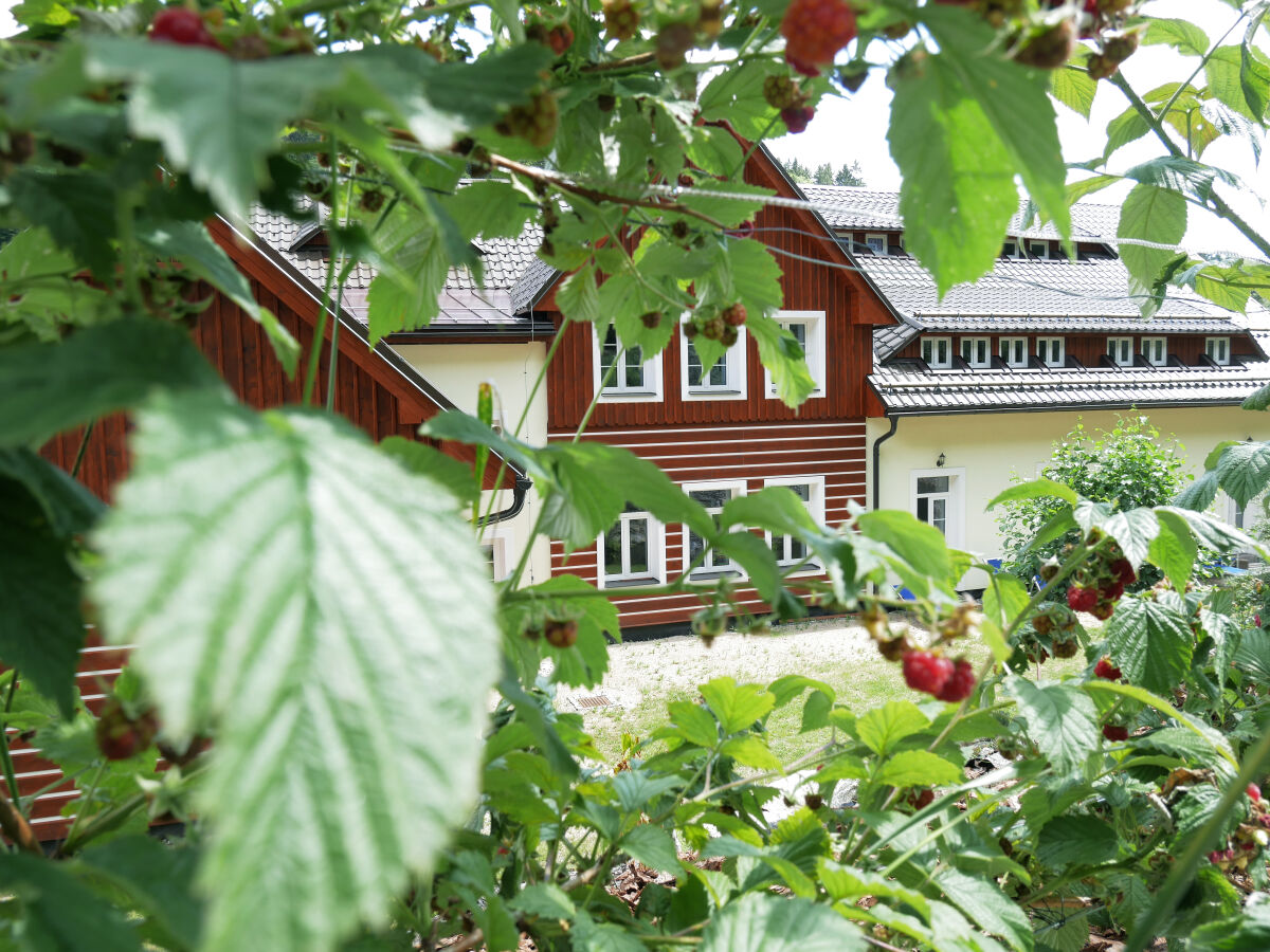 Ferienwohnung Desna Außenaufnahme 11