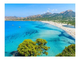Appartamento per vacanze Calvi Ambiente 17