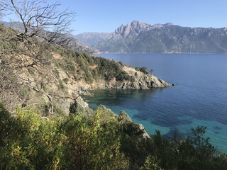 Appartamento per vacanze Calvi Ambiente 19