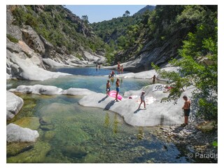 Appartamento per vacanze Calvi Ambiente 22