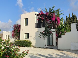 Villa Paphos Enregistrement extérieur 10