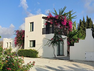 Villa Paphos Registrazione all'aperto 10