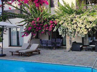 Villa Paphos Enregistrement extérieur 13