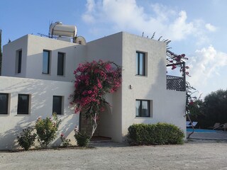Villa Paphos Registrazione all'aperto 15