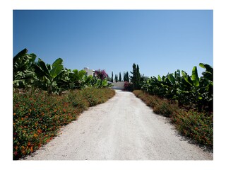 Villa Paphos Ambiente 37