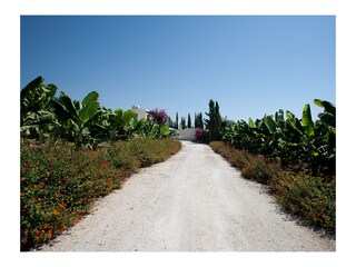 Villa Paphos Environnement 37