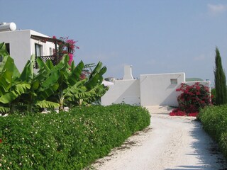 Villa Paphos Enregistrement extérieur 4