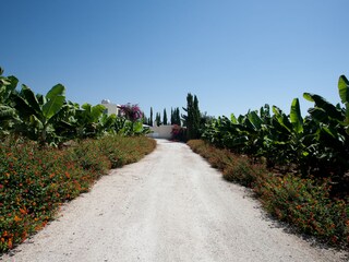 Villa Paphos Ambiente 35
