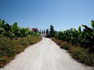 Villa Paphos Environnement 35