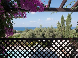 Villa Paphos Ambiente 36