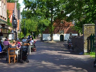 Vakantiehuis Bergen (Holland) Omgeving 30