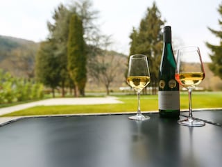 Apartamento Traben-Trarbach Características 11