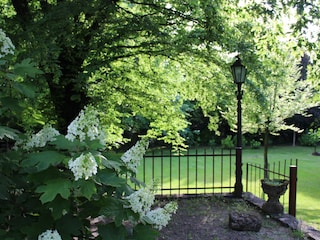 Schlosspark, von La Vicinia aus gesehen