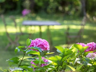 Casa per le vacanze Strassoldo Registrazione all'aperto 19