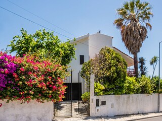 Villa Sesimbra Umgebung 78
