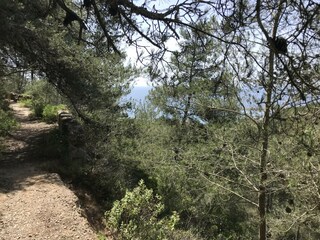 Villa Sesimbra Environment 80