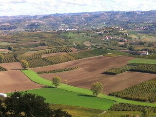 Die Huegeln der Langhe