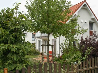 Today the plants are higher