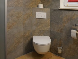 Ground-floor bathroom: new toilet, walk-in shower
