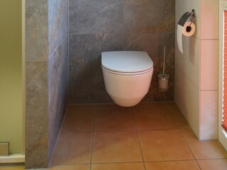 Upstairs bathroom: new toilet, walk-in shower
