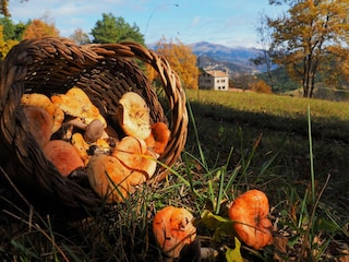 Cottage Vallcebre Außenaufnahme 4
