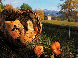 Vakantiehuisje Vallcebre Buitenaudio-opname 3